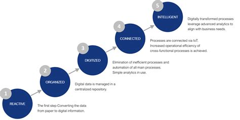 The Mountain Switch: Transform Your Business with Digital Transformation