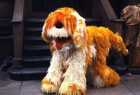 The Muppet Dog: A Comprehensive Guide to the Beloved Canines of Sesame Street