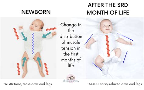 The Musclebaby Revolution: Unleashing Your Infant's Strength and Development