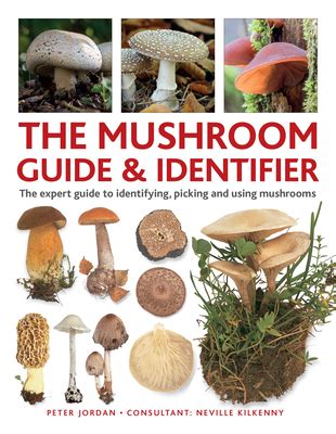 The Mushroom Identifer Reader