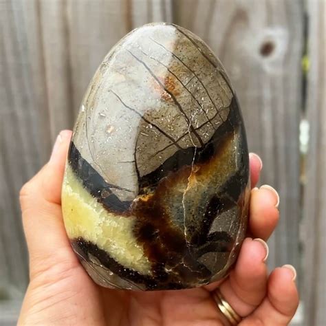 The Mystical Septarian Dragon Stone: Uncover Its Powers and Applications