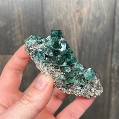 The Mystique of Diana Maria Fluorite