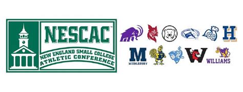 The NESCAC to Ivy Law School Pipeline: A Comprehensive Guide