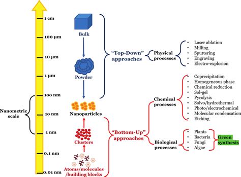 The Nanometric Scale: A Window into the Invisible