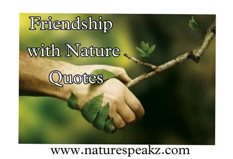 The Nature of Friendship Doc