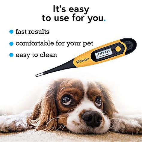 The Need for Accurate and Efficient Pet Fever Detection