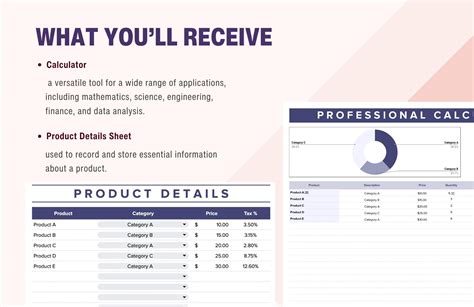 The Need for Calculator Professional