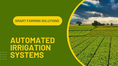 The Need for Precision in Irrigation Fertilization