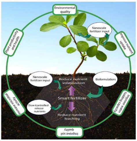 The Need for Smarter Fertilization