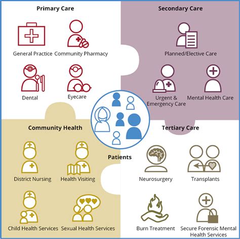 The Neglected Majority Developing Intermediate Mental Health Care in Primary Care Kindle Editon