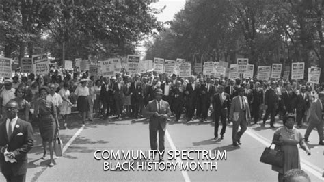 The Negro 2 in American History: A Legacy of Resistance and Progress