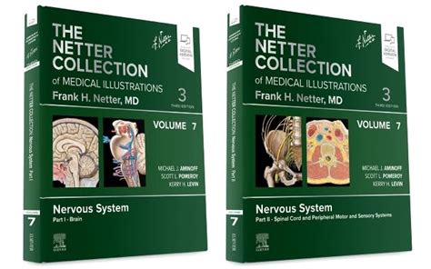 The Netter Collection of Medical Illustrations Nervous System Vol. 7 Doc