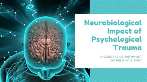 The Neurobiological Impact of Practice