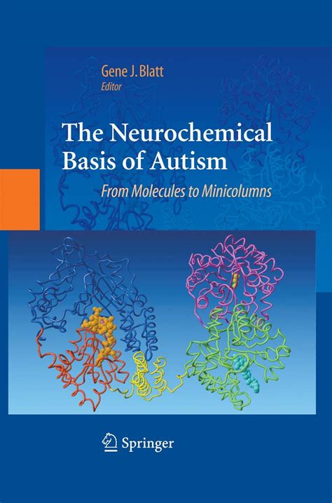 The Neurochemical Basis of Autism From Molecules to Minicolumns 1st Edition Reader