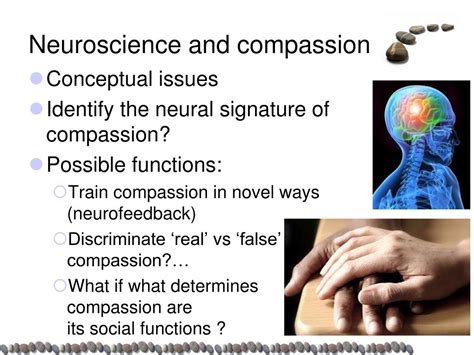 The Neuroscience of Compassion Reader