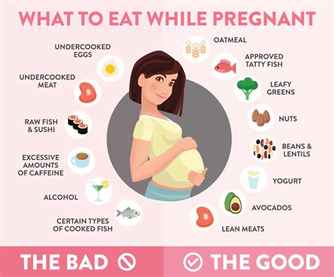 The New Rules of Pregnancy What to Eat Do Think About and Ignore While Your Body Is Making a Baby PDF