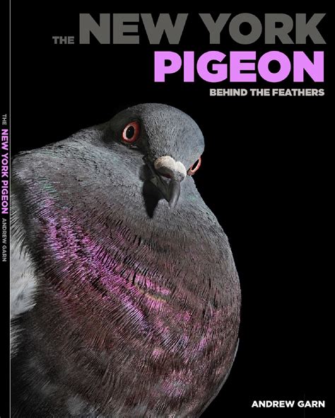 The New York Pigeon Behind the Feathers PDF