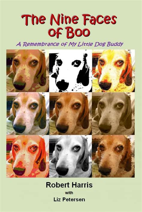 The Nine Faces of Boo A Remembrance of My Little Dog Buddy Doc