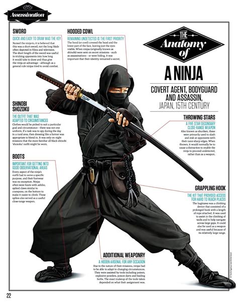 The Ninja PDF