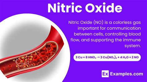 The Nitric Oxide NO Solution PDF