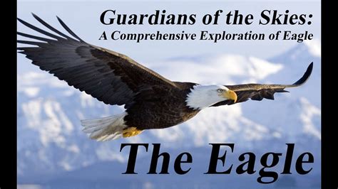 The Noble Guardians of the Skies: A Comprehensive Guide to Eagles