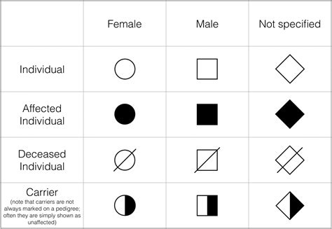 The Number 3: A Symbol of Dominance