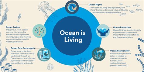 The Ocean's Vital Statistics