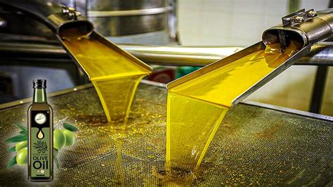 The Olive Skimmer: A Sustainable Solution for Olive Oil Production