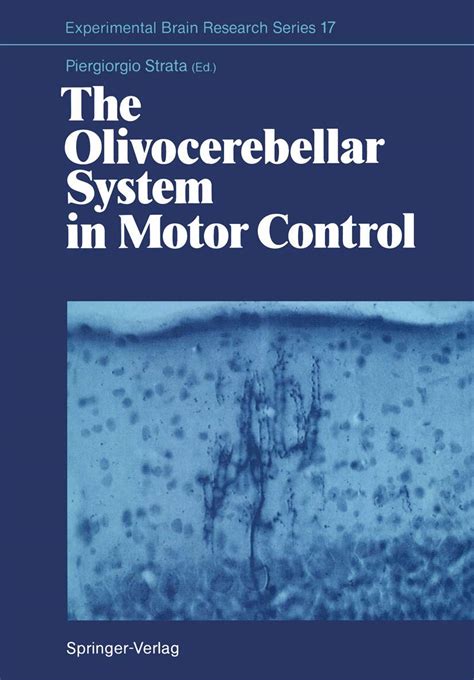 The Olivocerebellar System in Motor Control PDF
