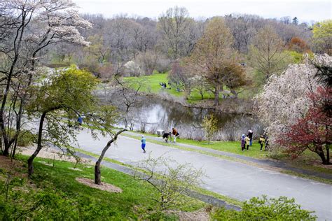 The Olmsted Arboretum: