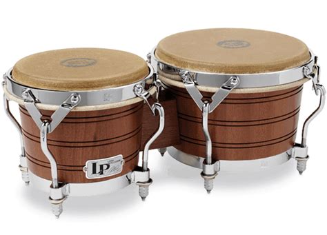 The Origin and Evolution of Bongos