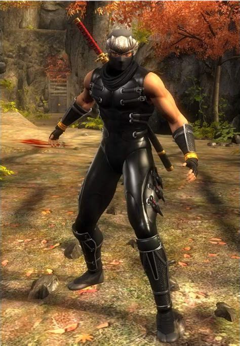 The Origin of Ninja Gaiden Costumes