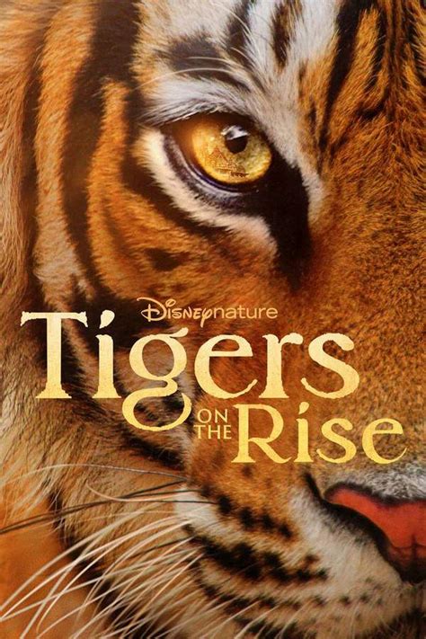 The Origin of the "Tigers"