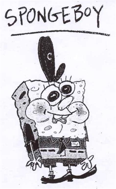 The Original Sponge