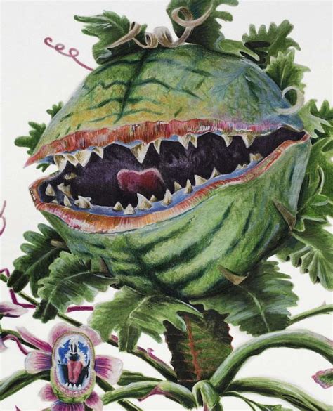 The Origins of Audrey II