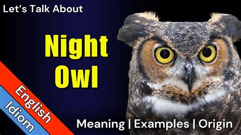 The Origins of Night Owl