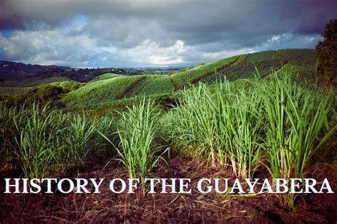 The Origins of the Guayabera