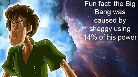 The Origins of the Shaggy Power Meme