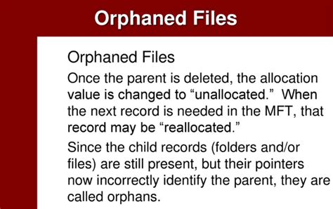 The Orphan File Kindle Editon