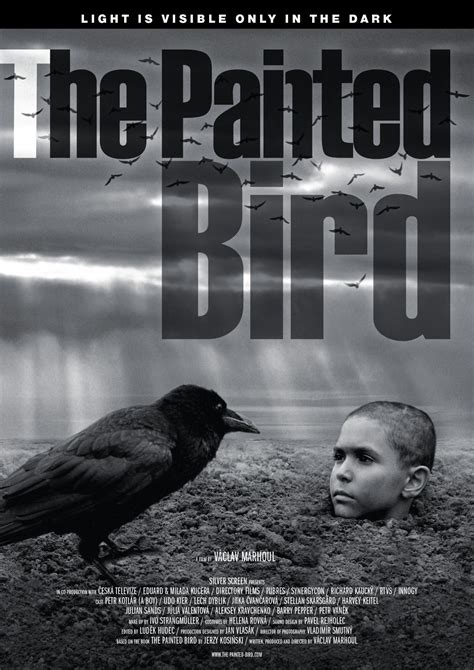 The Painted Bird Kindle Editon