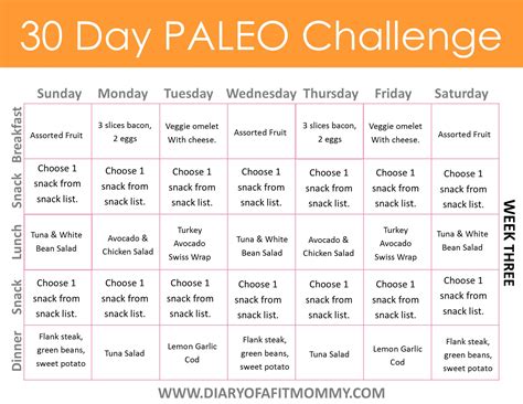 The Paleo Challenge A 30 Day Paleo Diet Plan with Complete Meal Plans Recipes and Shopping Lists A Paleo Diet Cookbook Epub