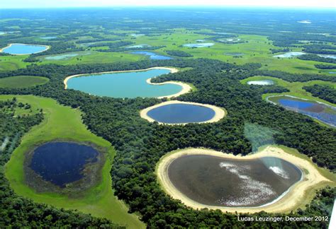The Pantanal of Mato Grosso (Brazil) World's Largest Wetlan Doc