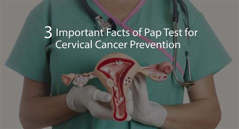 The Pap test is an important screening test that can help prevent cervical cancer.