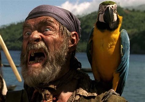 The Parrot Pirate: