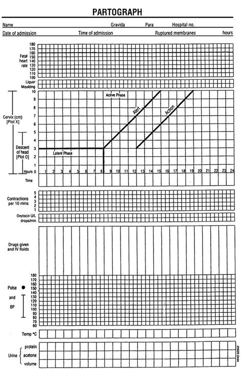 The Partograph and How to Assess Labour (Professional Nurse Series) Reader