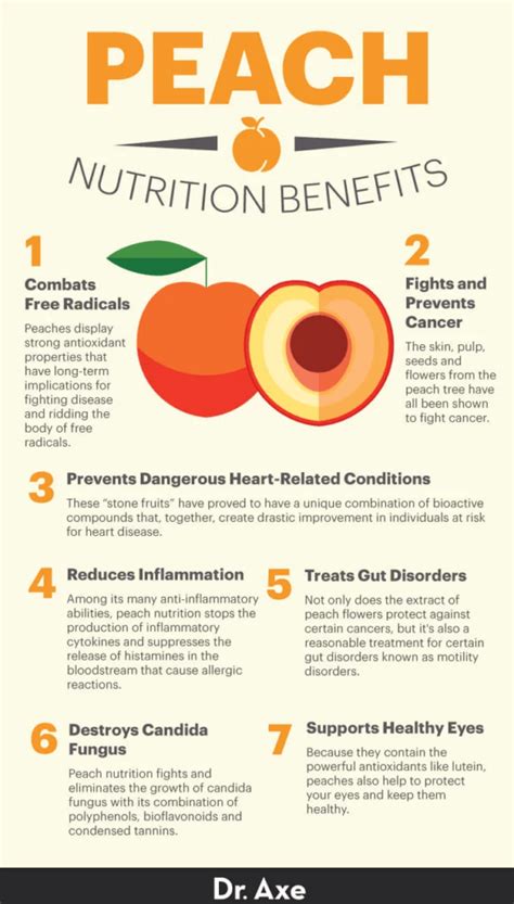 The Peach Prince: A Comprehensive Guide to Peach Health and Nutrition