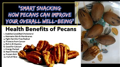 The Pecan Powerhouse: Understanding Pecan Tree Nutrition