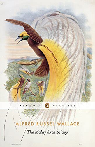 The Penguin Classics the Malay Archipelago Pocket Penguins Doc