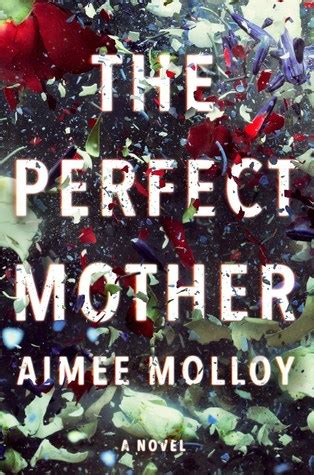 The Perfect Mother A Novel PDF