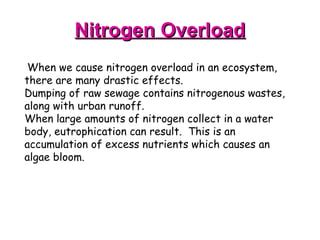 The Perils of Nitrogen Overload